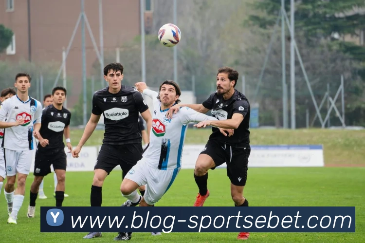 易倍体育APP 封面图